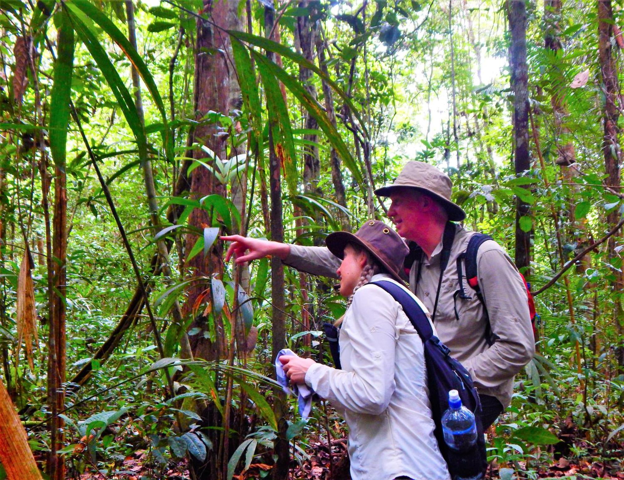 Amazon Acai Lodge Leticia Exterior foto