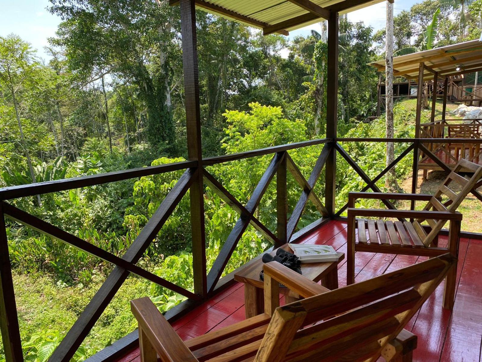 Amazon Acai Lodge Leticia Exterior foto