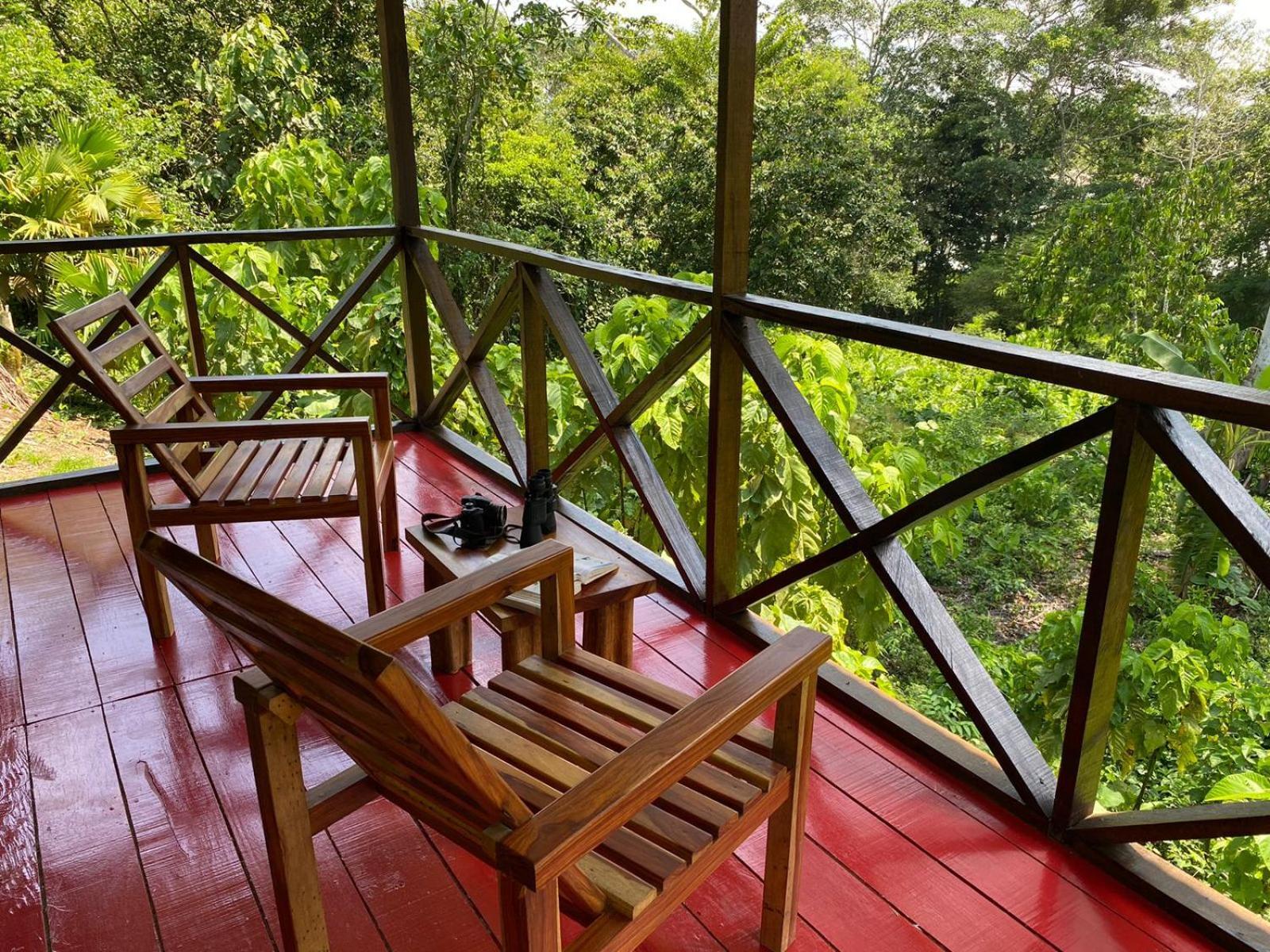 Amazon Acai Lodge Leticia Exterior foto