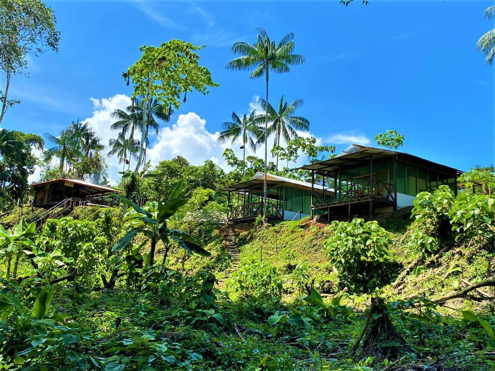 Amazon Acai Lodge Leticia Exterior foto